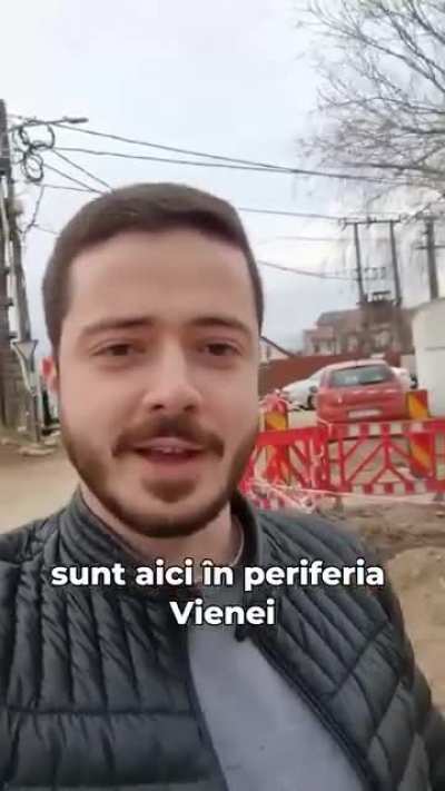Viena Olteneasca
