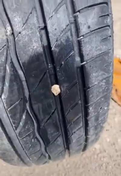 The car mechanic showed how to pull a stone out of the tire