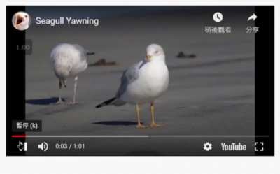 Inspired by YouTube 