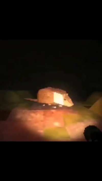 Low quality polygon rat spinning near campfire during the night