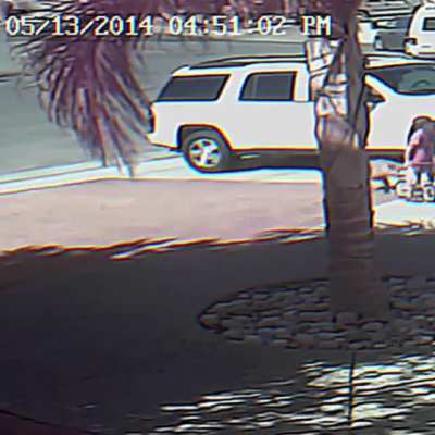 Cat saves a child’s life from wild dog