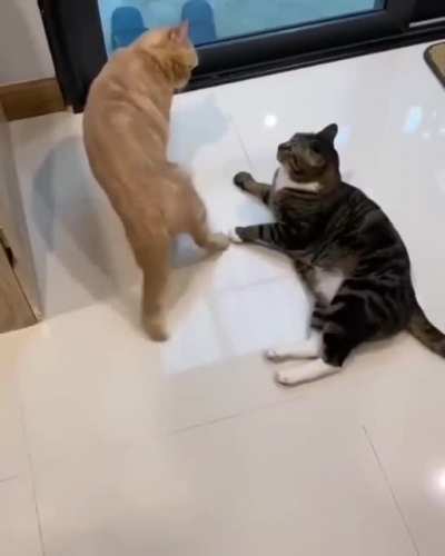 Sneak attack