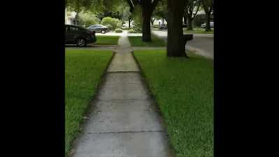 Blursed reality