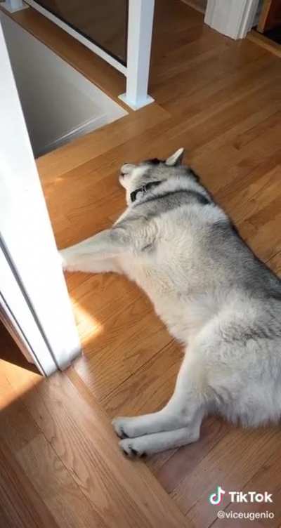 So dramatic