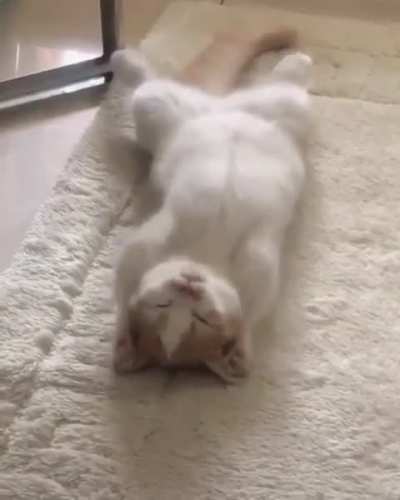He's doing it so cute