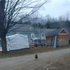 Aggressive Rooster Named Kyle Attacks Its Owner (animal freakout)