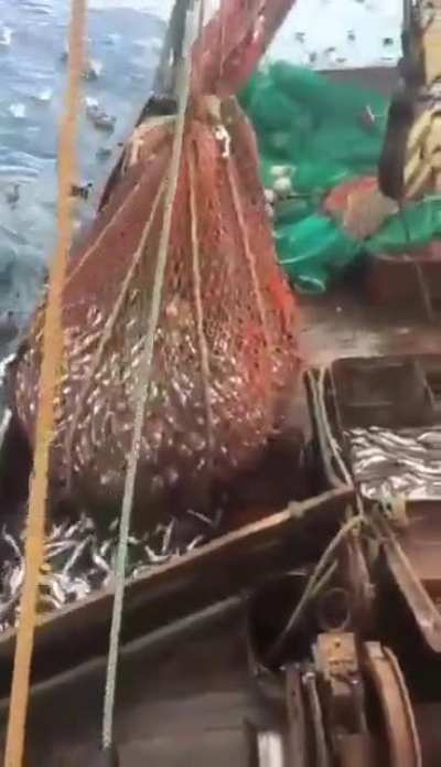 WATCH TILL END.