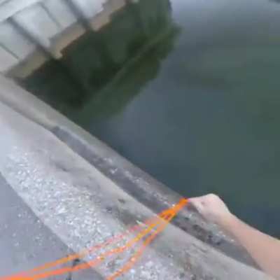 This guy's bowfishing skills