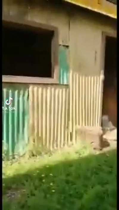 El señor Carrasco