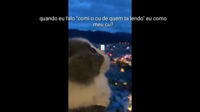 Será? 🤔