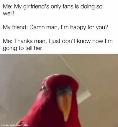 Say what?