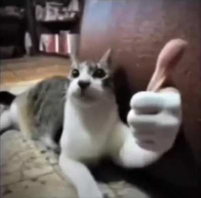 👍