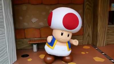 Toad