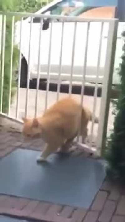 me on Mondays