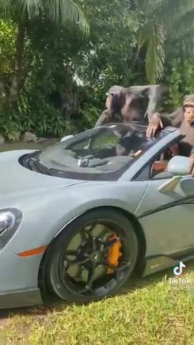 Us after our $100,000 limit sells get filled