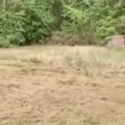 yaaaaahooo