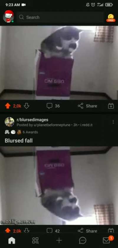 Blursed portal