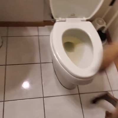İt