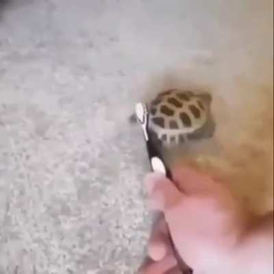 No se porque pero me gusta este video .-.