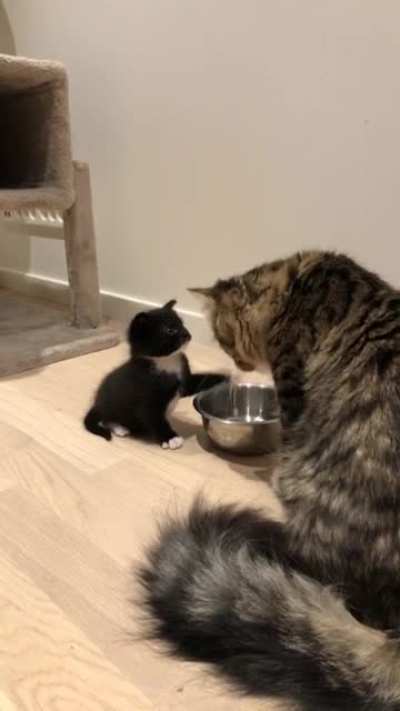 Touch tha mom
