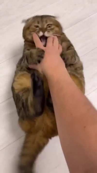 CHOOOOONK