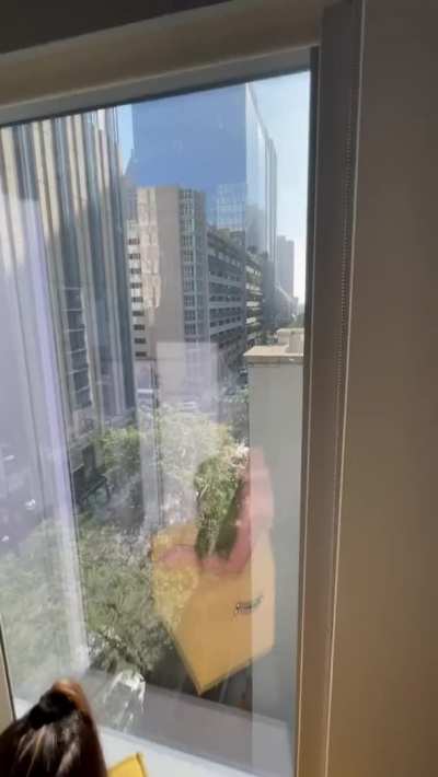 Enjoying the views