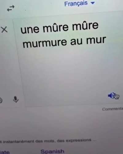 French Cat