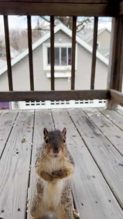 Who could say no?