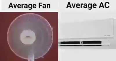 Only Fan's