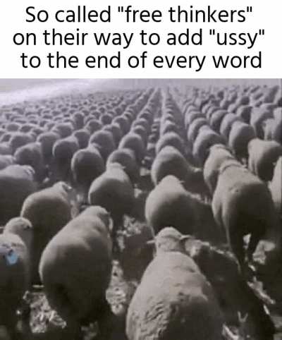 Titleussy