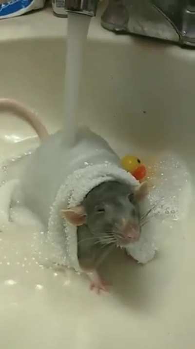 Bathtime bliss complete with rubber ducky