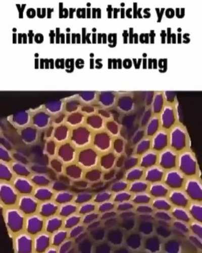 brain rule