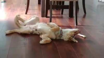 woof irl