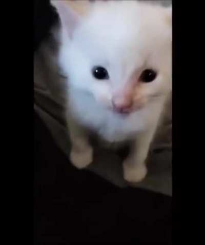 Hi herbert