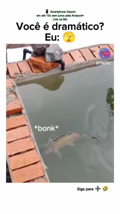 O chat aí 