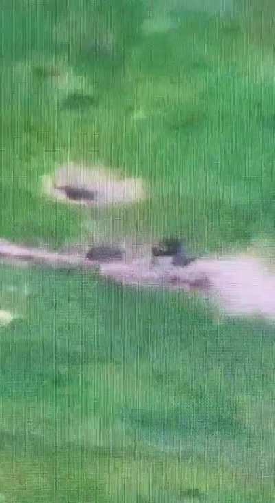 Robert “Bada Boom Jagga Jagga” Magyar shows how the 59th brigade of AFU repelled another attack by a Russian assault group in the Donetsk direction. Many pieces of equipment destroyed