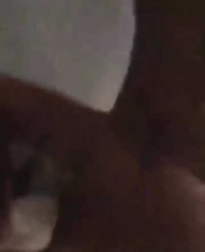 @Leothegemini_ @i.am<wbr>.anna<wbr>marie