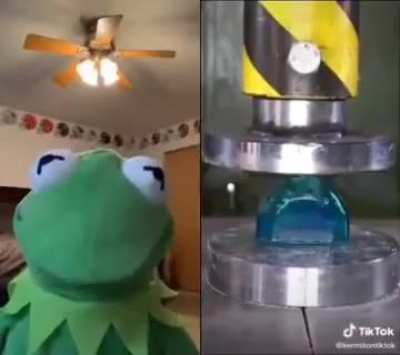 kermit reacts
