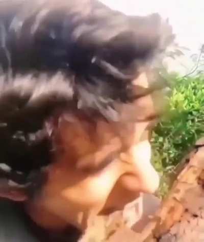 Como tudo!