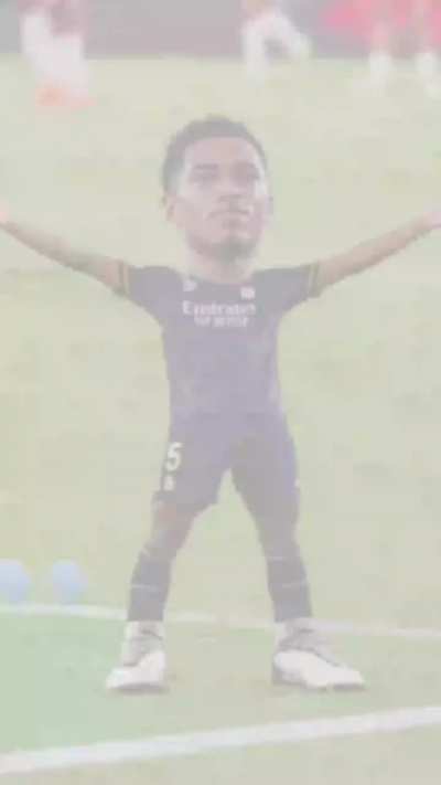 BELLINGOL BELLINGOL 