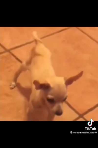 Nice twerk Pitutoy😘😘😘