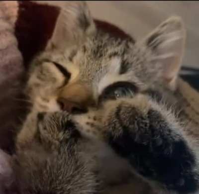 He is just a little baby..