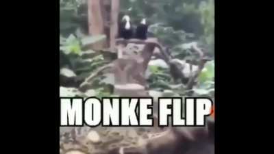 Monkey flip