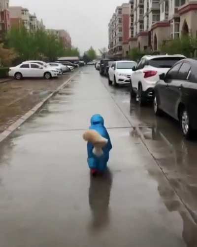 Water (resistant) Dog!