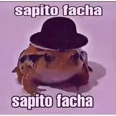 Sapito facha