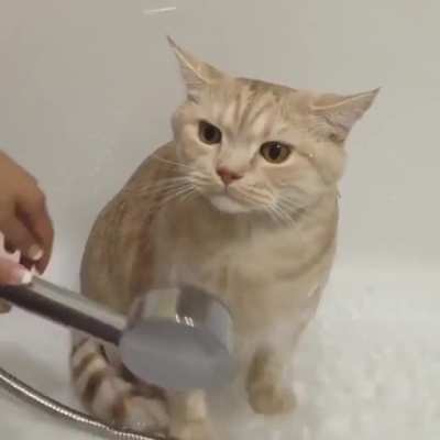Water is fine