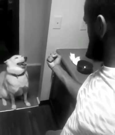 Felix and water cat