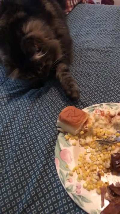 Touchy da bread