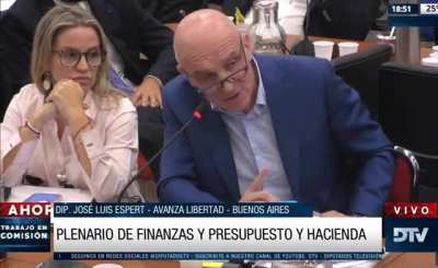 Espert avisaba en el Congreso sobre el revaluo fiscal incluido en el acuerdo del FMI.
