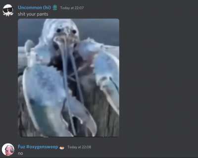 fuz, the unshittable
